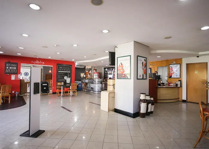 Ibis Teresina
