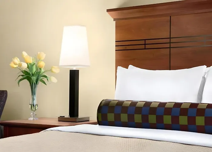 Quality Inn & Suites Detroit Lakes