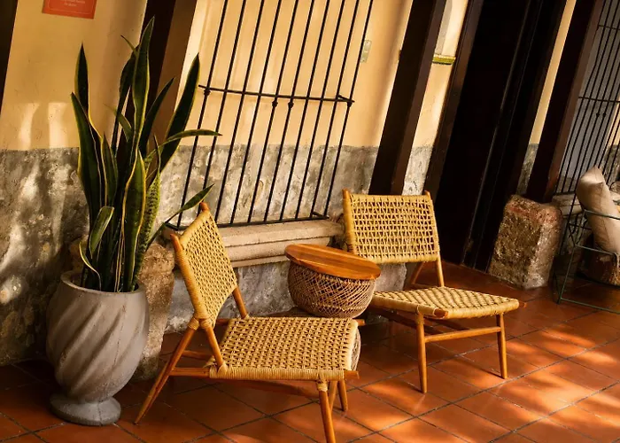 Bloom Hostel