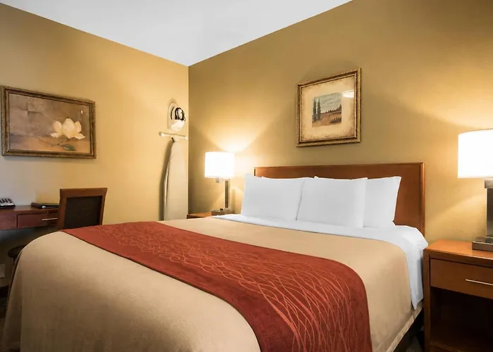 Comfort Inn & Suites Langley - Fraser Highway