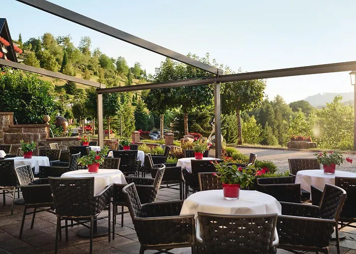Hotel Dollenberg