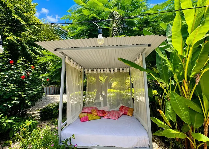 Cabanas Lamaite