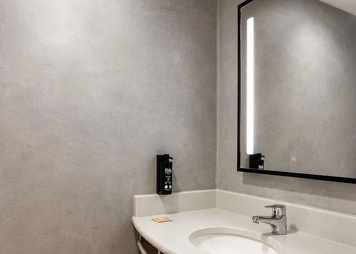 Ibis Catanduva