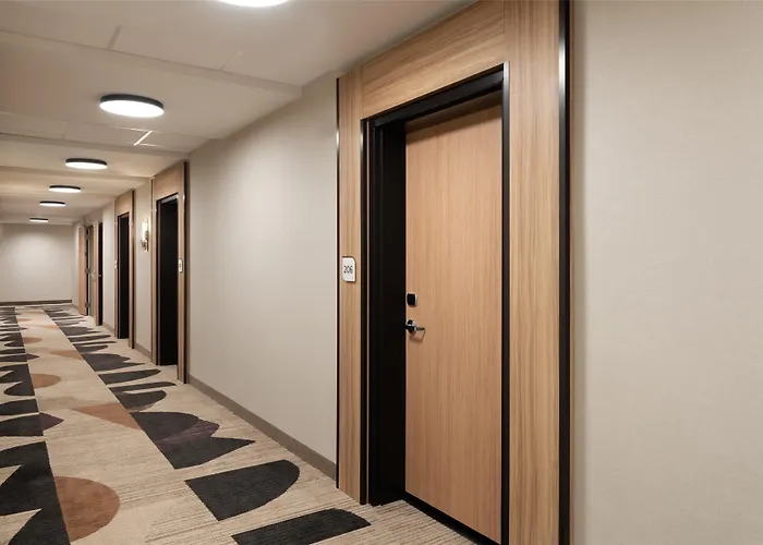 Hilton Garden Inn Greenville University Area