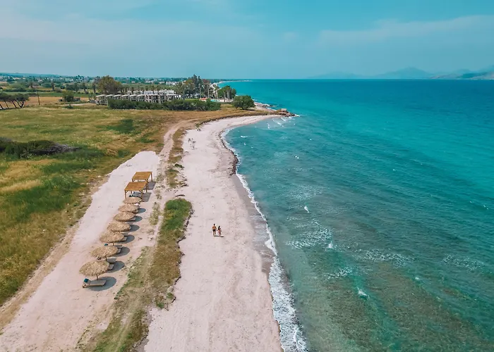 Taf Beach Villas With Tesla Car And Heated Pool