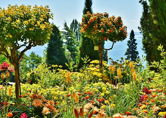 Holiday Inn - The Niu, Flower Konstanz By Ihg