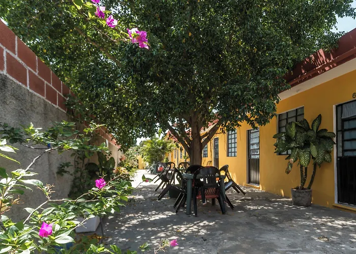 Casa Cuevas & Amaro