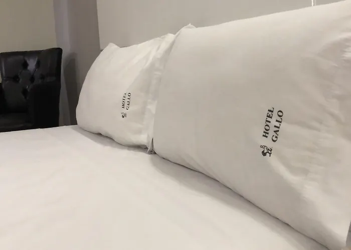 Hotel Gallo