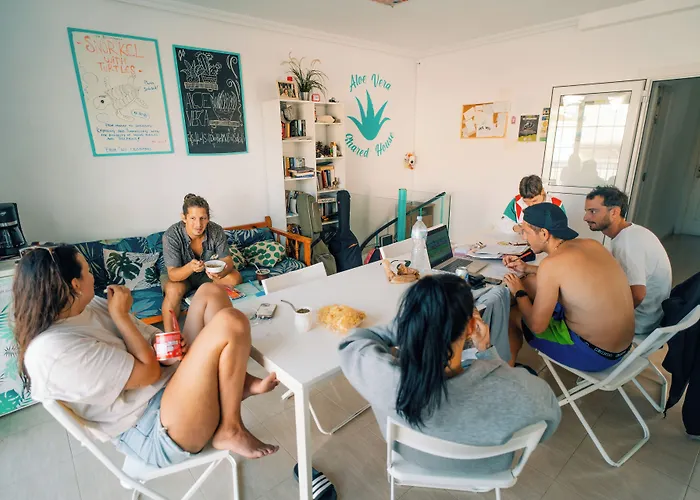Aloe Vera Shared House