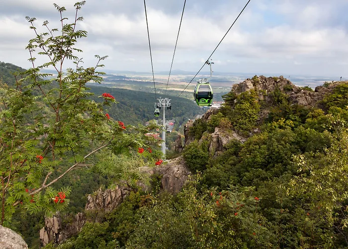 Mythenresort Heimdall