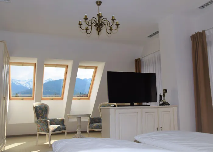 Hotel Paryski Art & Business Zakopane - Basen Jacuzzi Sauna Malpi Gaj