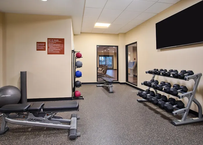 Towneplace Suites By Marriott Detroit Belleville
