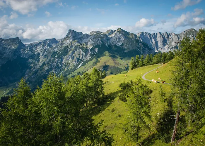 Apart Hotel Alpenhof Werfenweng