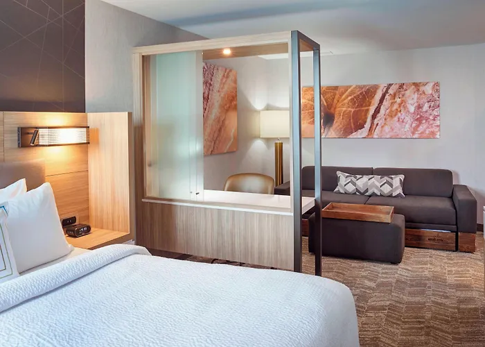 Springhill Suites By Marriott Grand Rapids West