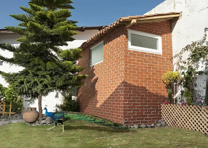 Hotel Vintage "Casa Las Flores"