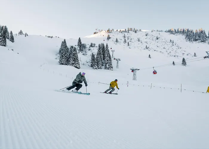 Rinderberg Swiss Alpine Lodge