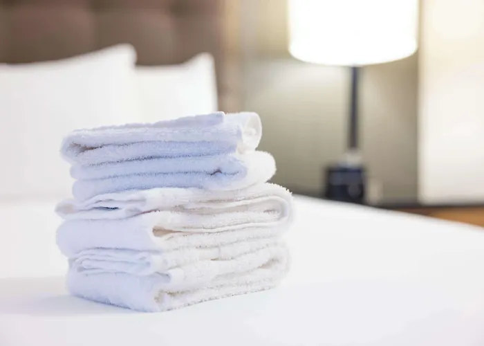 Drury Plaza Hotel St. Louis St. Charles