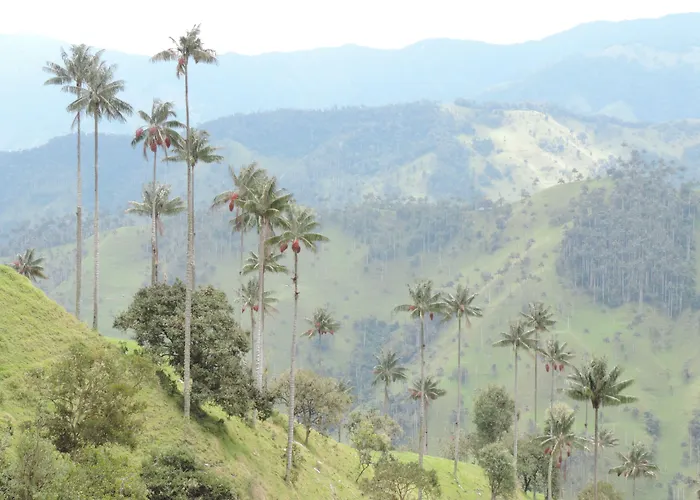 La Cabana Ecohotel - Valle Del Cocora