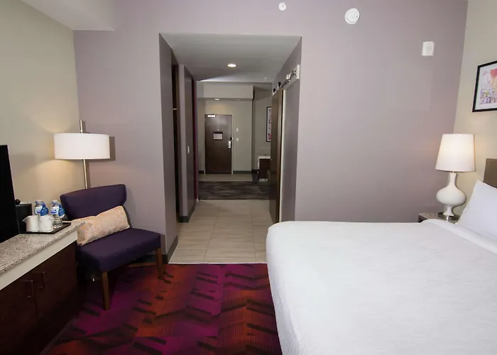 Hilton Garden Inn Tampa Suncoast Parkway