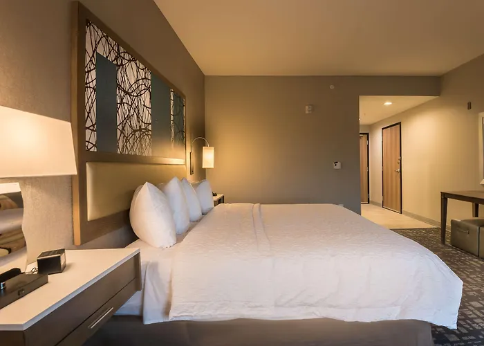Hampton Inn & Suites Dallas-The Colony