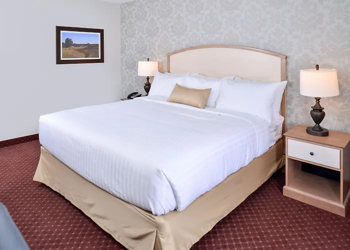 Appomattox Inn And Suites
