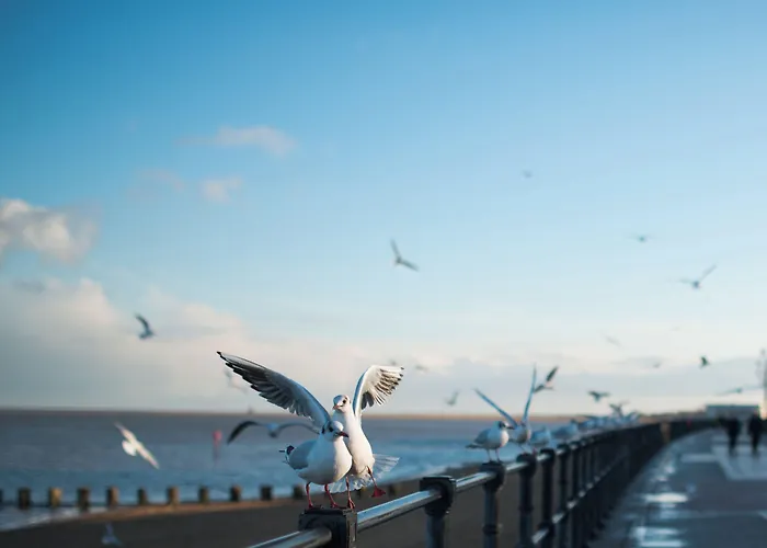 Grimsby Cheap Hotels