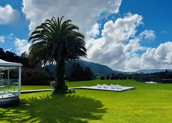 Franz Josef Oasis