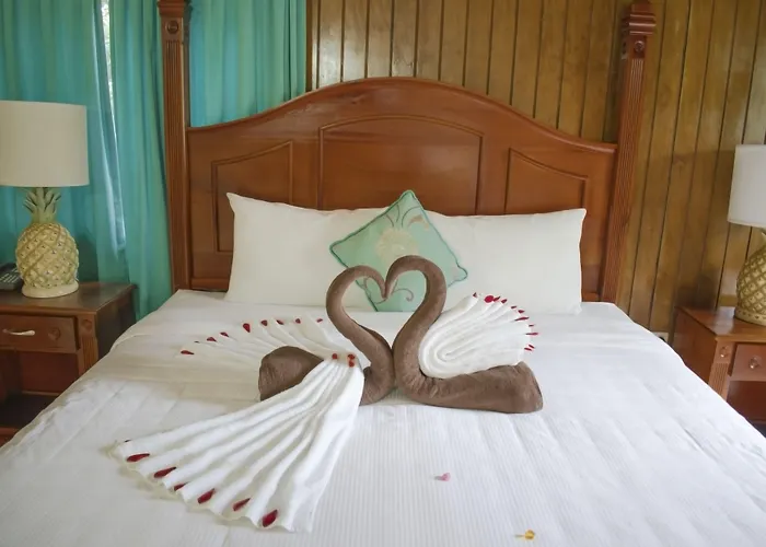 Bay View Eco Resort & Spa