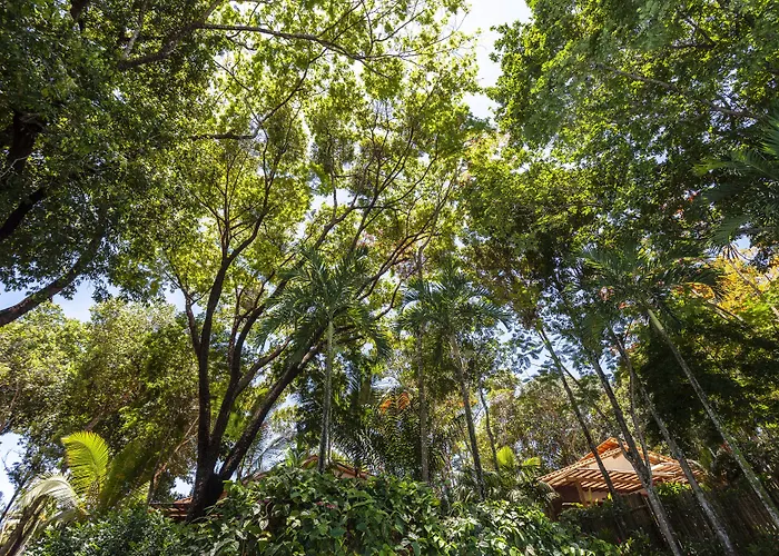 Hotéis boutique em Trancoso