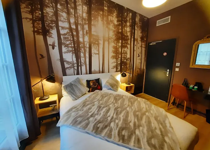 Hotel Du Cygne Tours