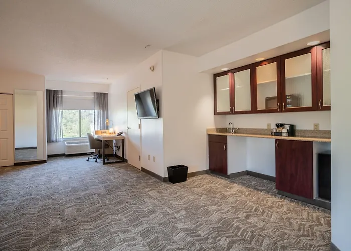Springhill Suites Gainesville