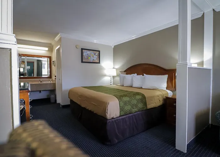 University Inn & Suites