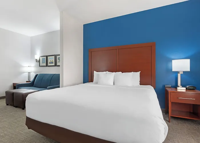 Comfort Suites Dfw N-Grapevine