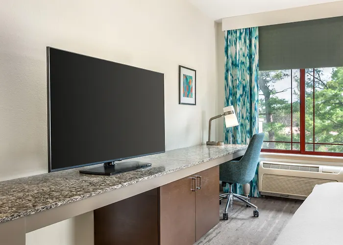 Hilton Garden Inn Wisconsin Dells