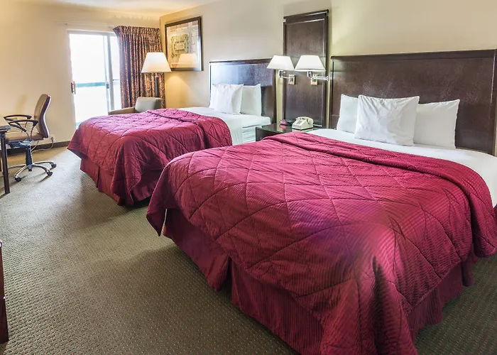Cedars Inn