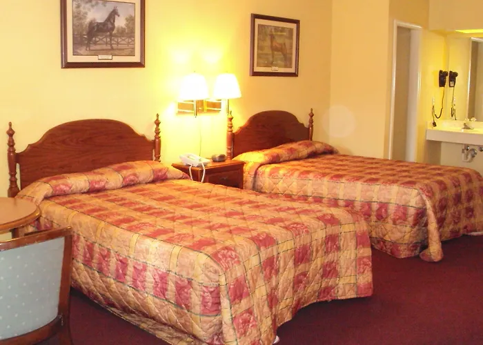 Executive Inn