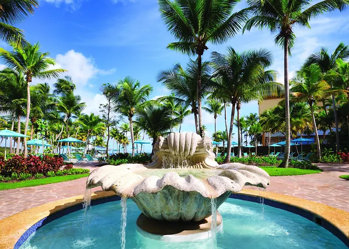 Dorado Beach hotels