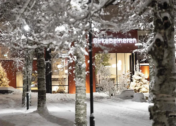 Birkebeineren Hotel&Apartments