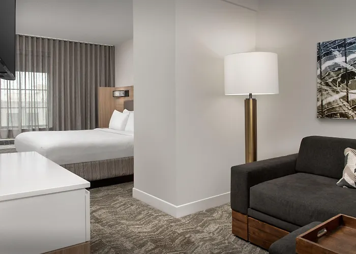 Springhill Suites By Marriott Atlanta Buford/Mall Of Georgia