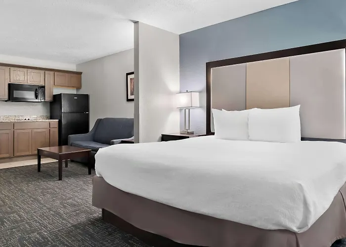 Best Western Plus Flint Airport Inn&Suites