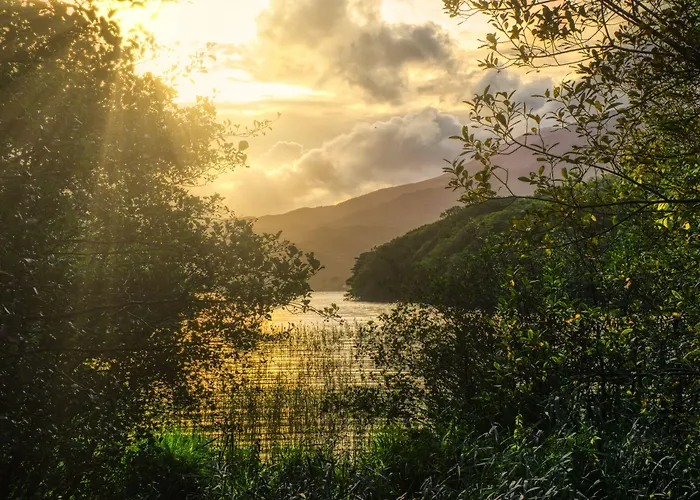 Muckross Park Hotel & Spa