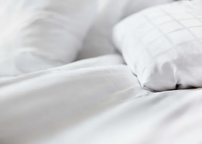 Scandic Harstad (Adults Only)