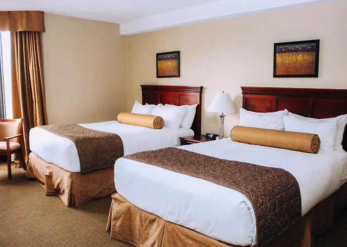Welcominns Ottawa
