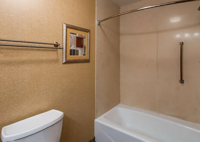 Best Western Plus North Canton Inn & Suites