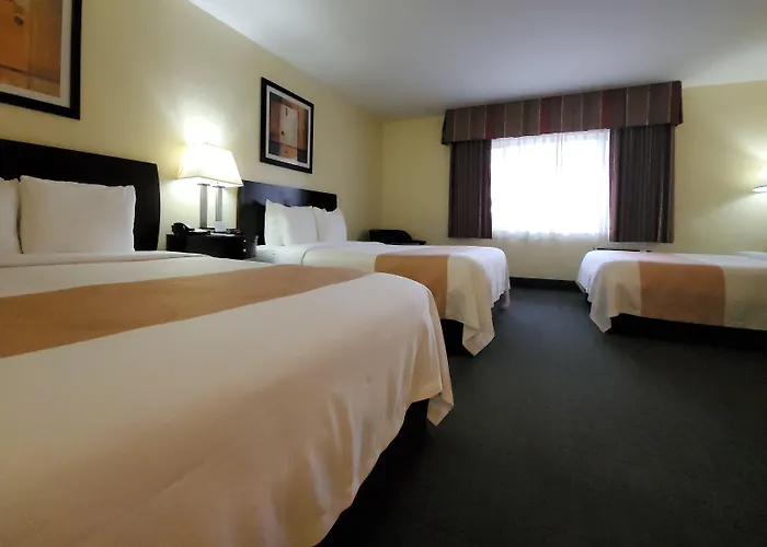 Quality Inn & Suites Anaheim At The Park
