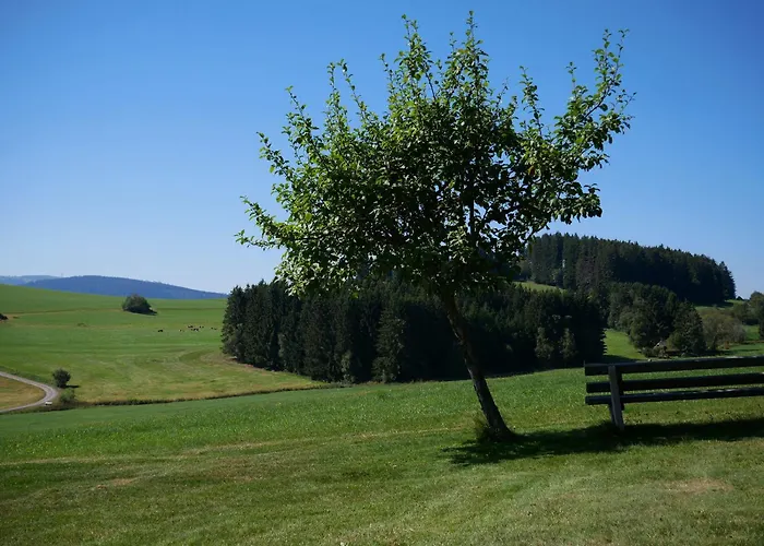 Feriengasthof Löwen