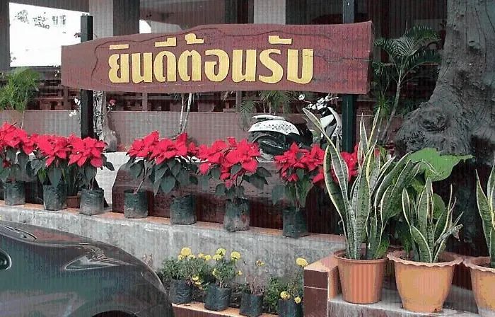 Porn 3 Hotel