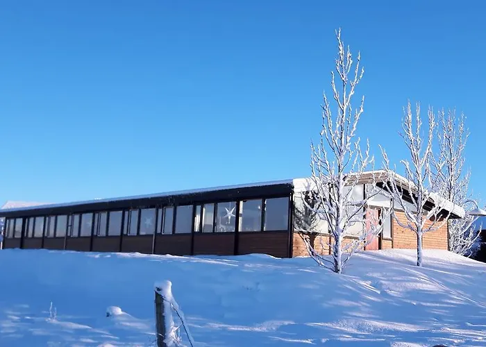Geysir Hestar