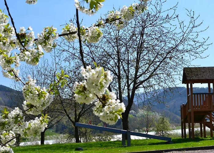 Hotel Die Alm