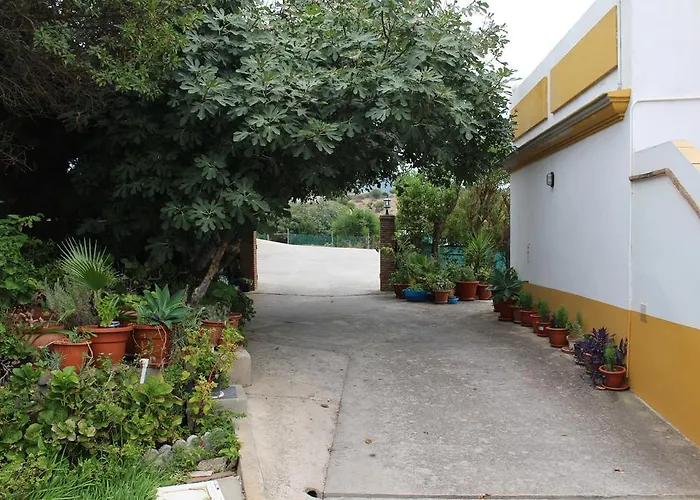 Apartamentos Bolonia Paraiso
